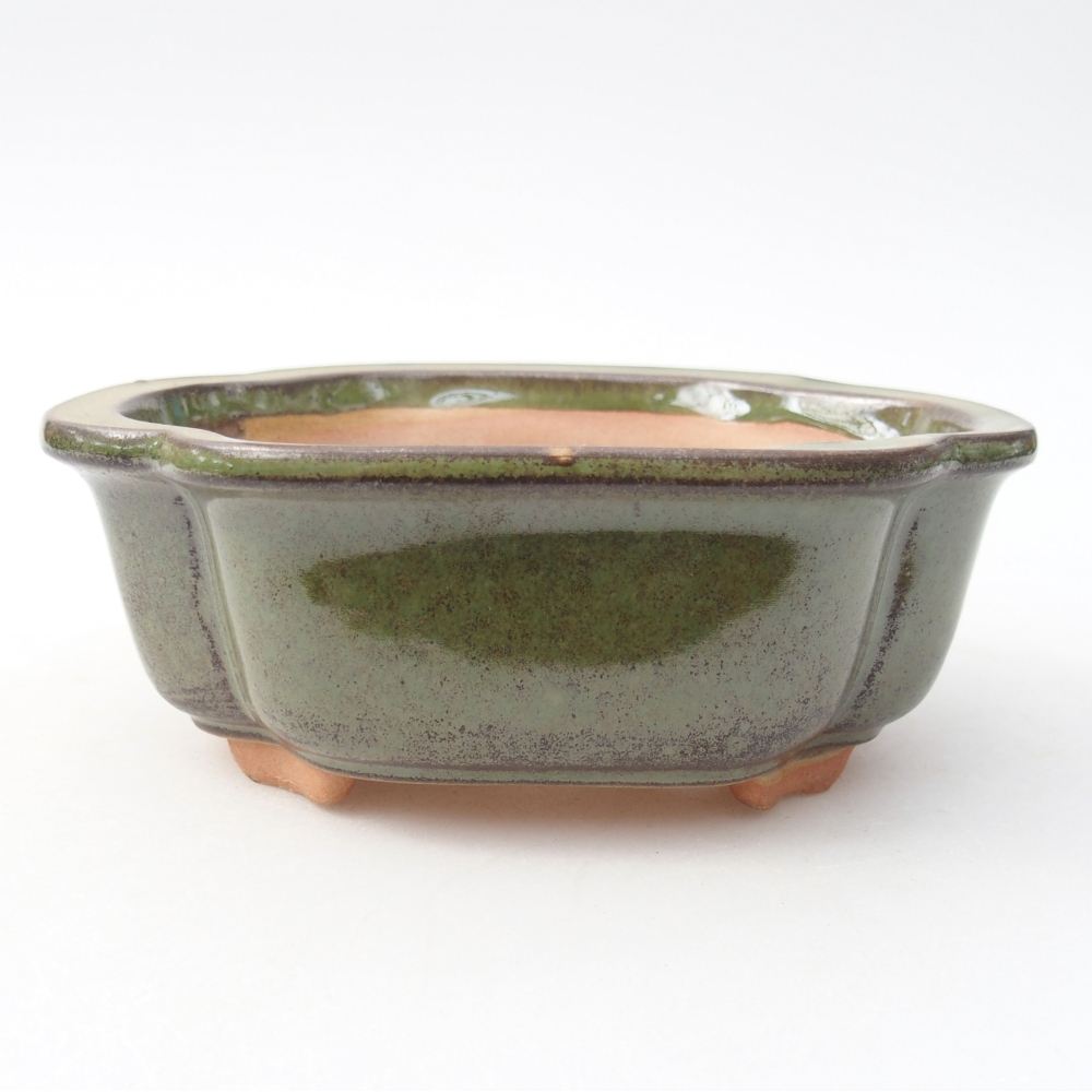 Bol à bonsaï en céramique 13 x 10 x 5 cm, vert