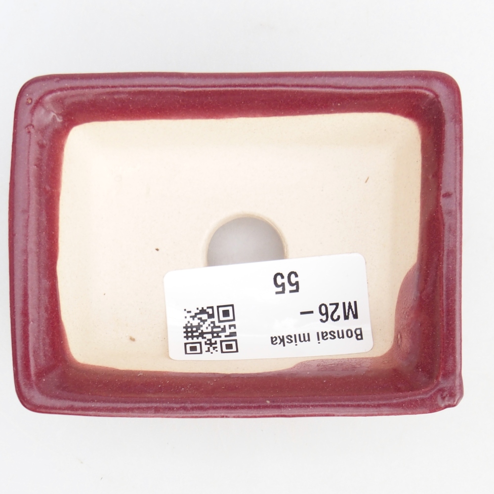 Mini bol bonsaï 8 x 6 x 2,5 cm, bordeaux