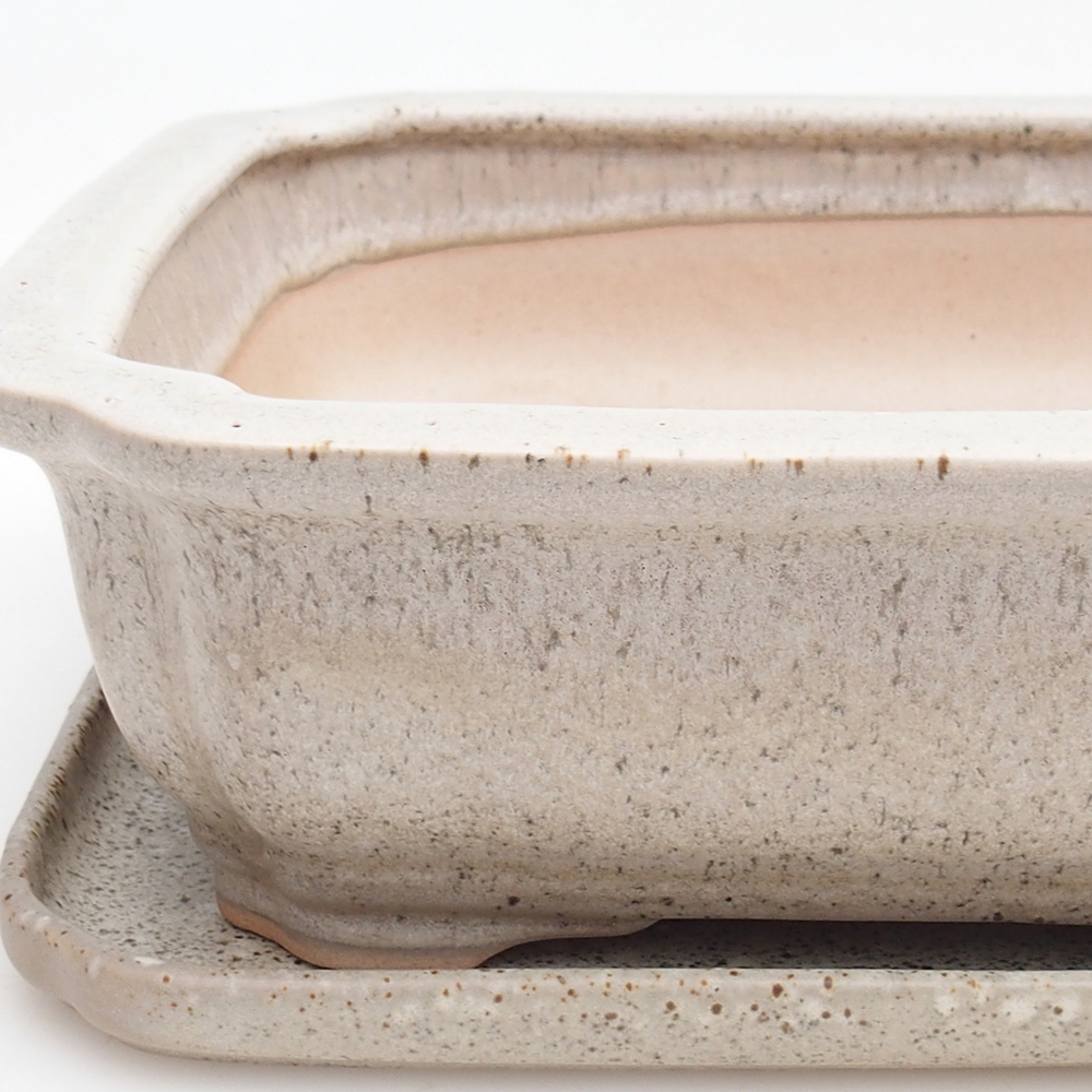 Bol Bonsaï + soucoupe H07 - 30 x 20,5 x 8 cm.