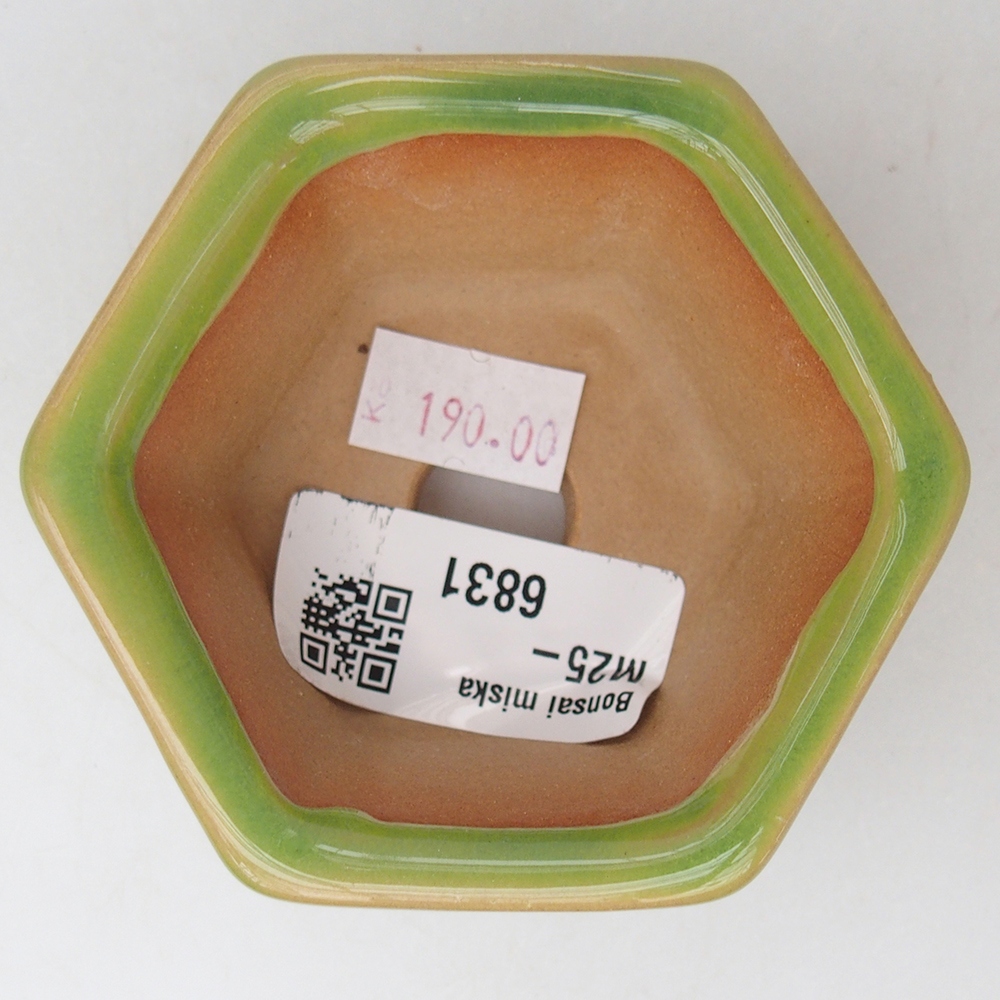 Bol à bonsaï en céramique 7,5 x 7 x 4 cm, vert