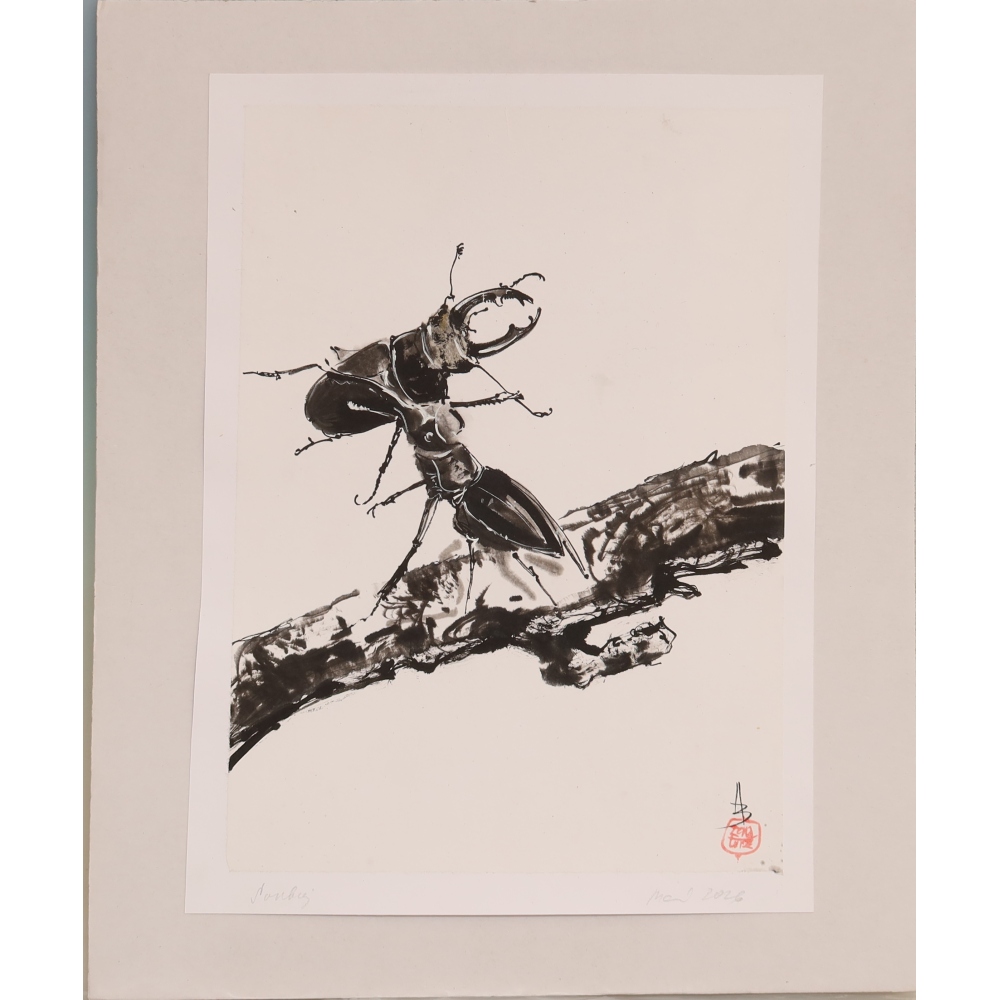 Calligraphie - Duel
