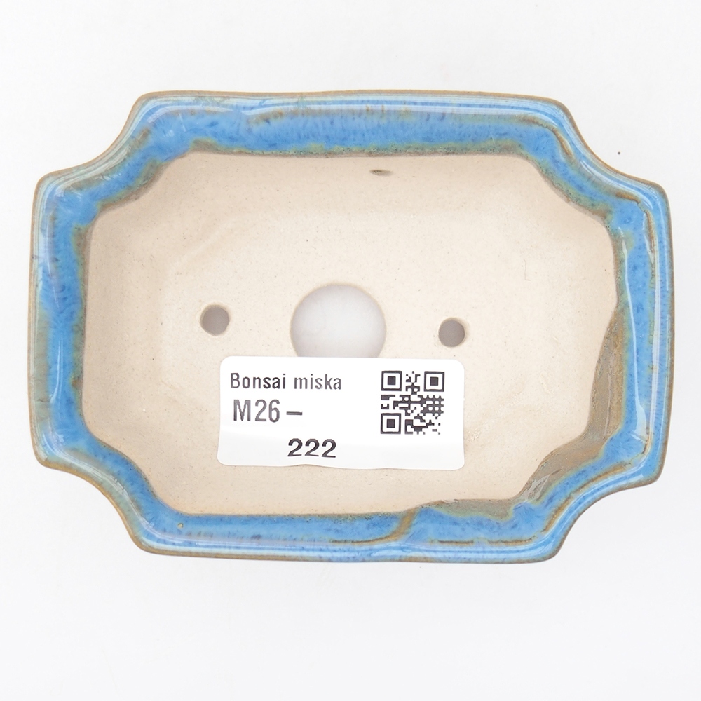 Mini bol bonsaï 9 x 6,5 x 3,5 cm, couleur bleu