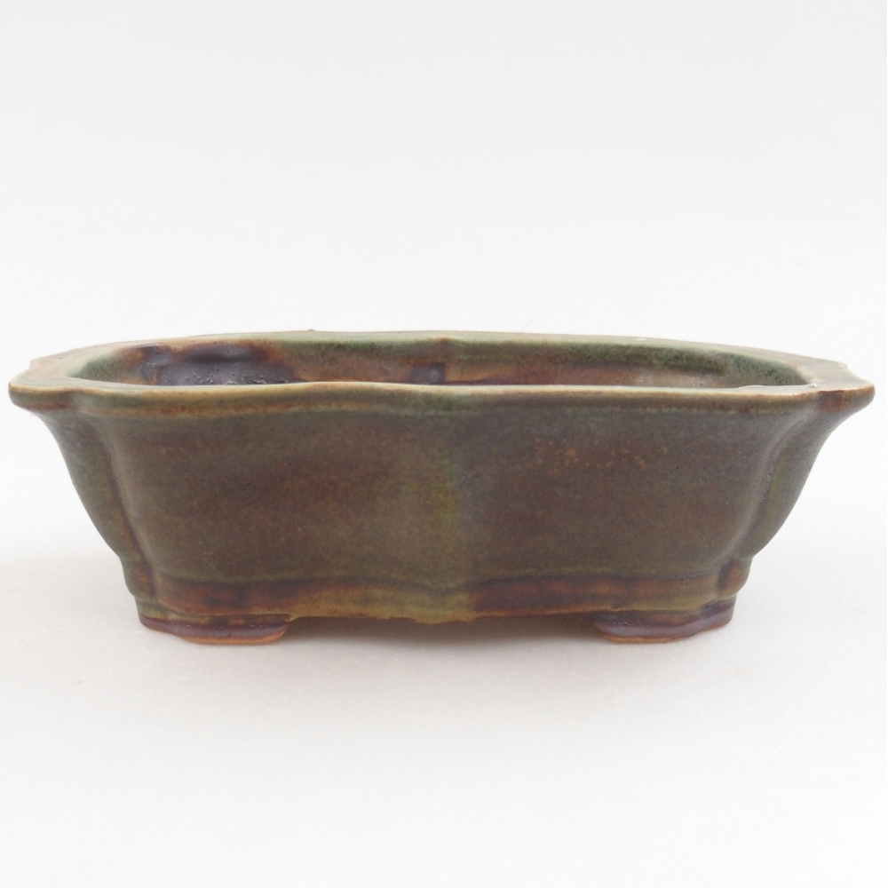 Bol à bonsaï en céramique 22 x 17 x 5 cm, vert