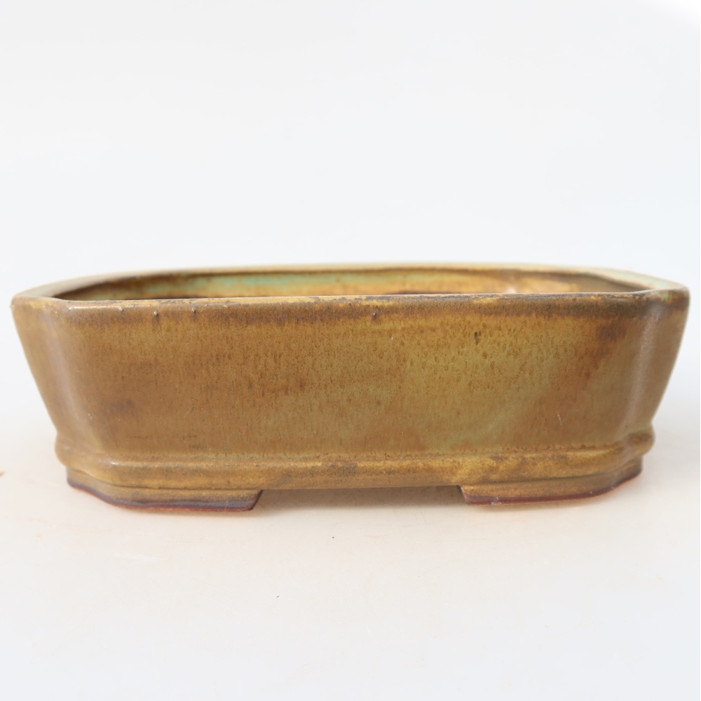 Bol à bonsaï en céramique 17,5 x 14,5 x 5 cm, vert
