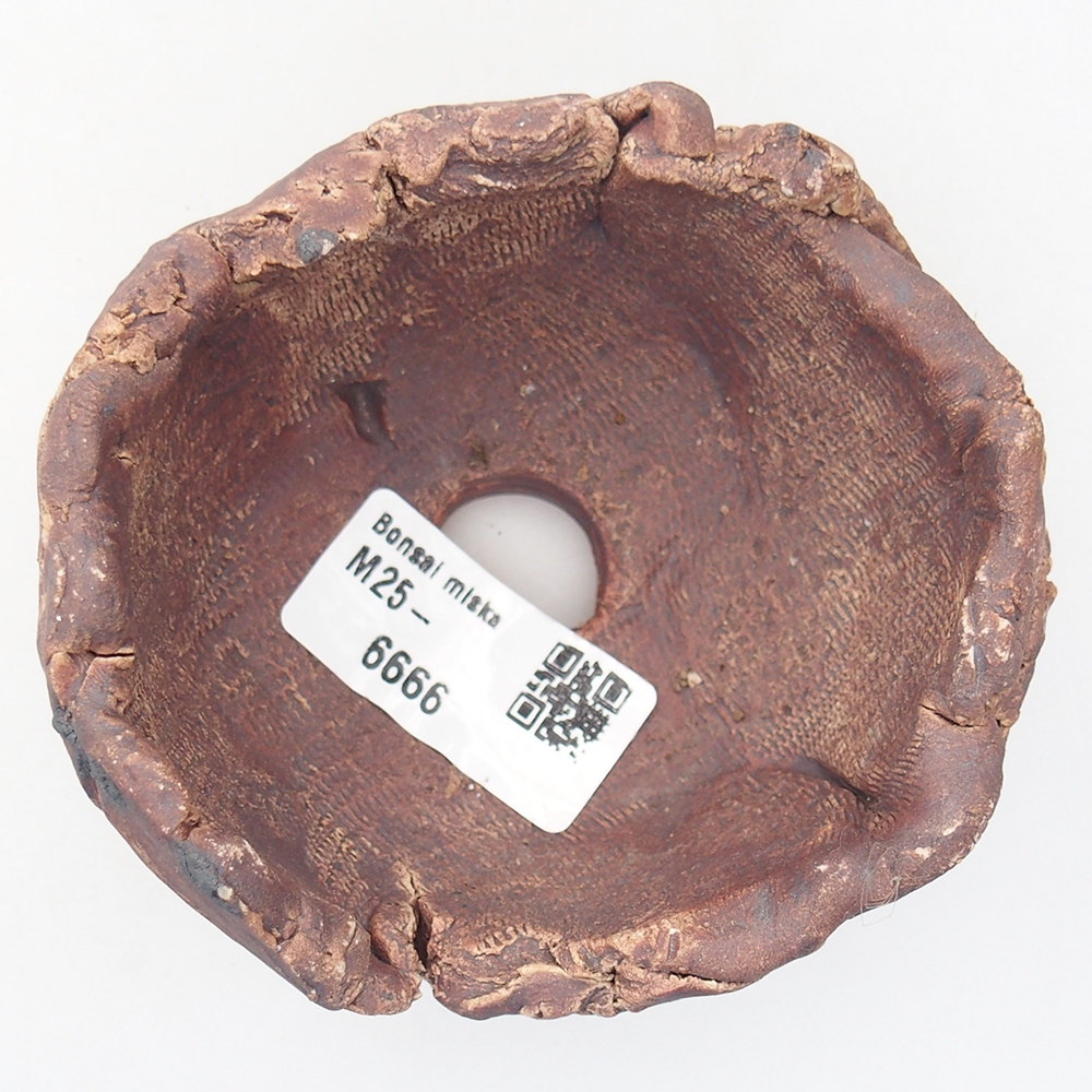 Coquille en céramique 9 x 8,5 x 6 cm , couleur marron