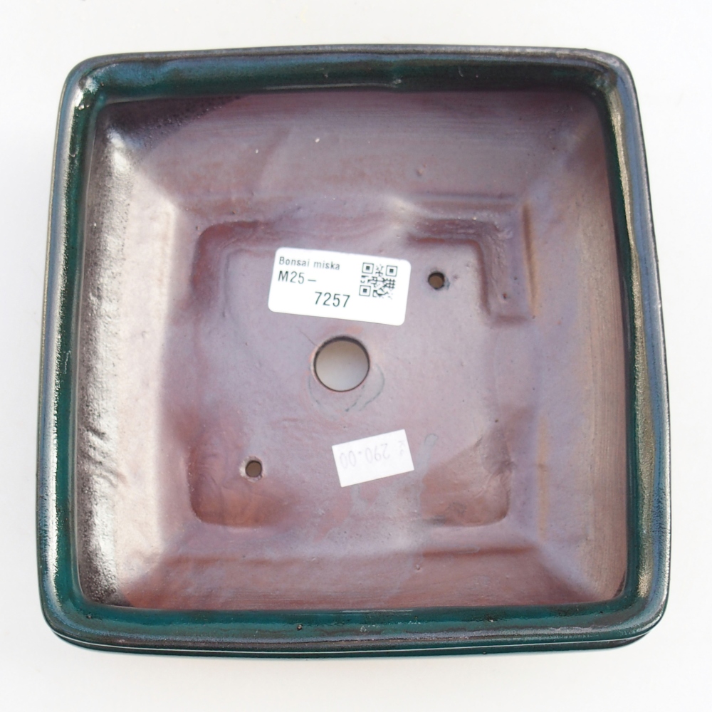 Bol à bonsaï en céramique 15,5 x 15,5 x 6 cm, vert