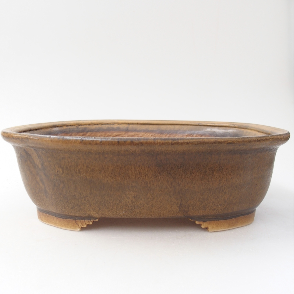 Bol à bonsaï en céramique 25 x 21 x 8 cm, brun
