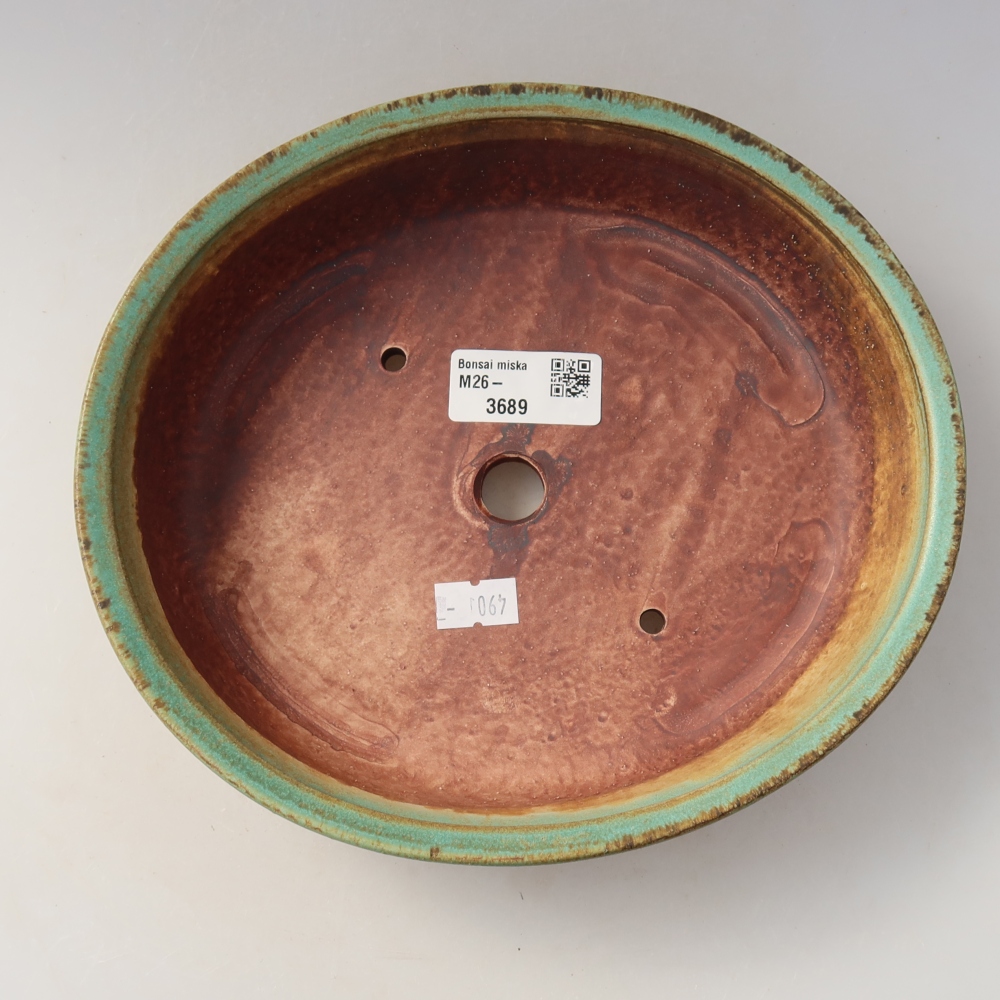 Bol à bonsaï en céramique 21 x 19 x 5 cm, vert