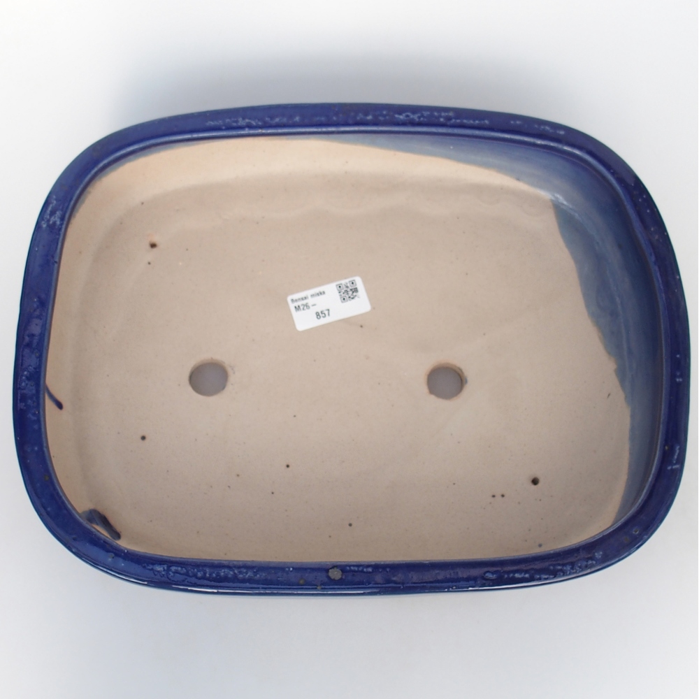 Bol à bonsaï en céramique 31,5 x 24 x 6 cm, couleur bleu