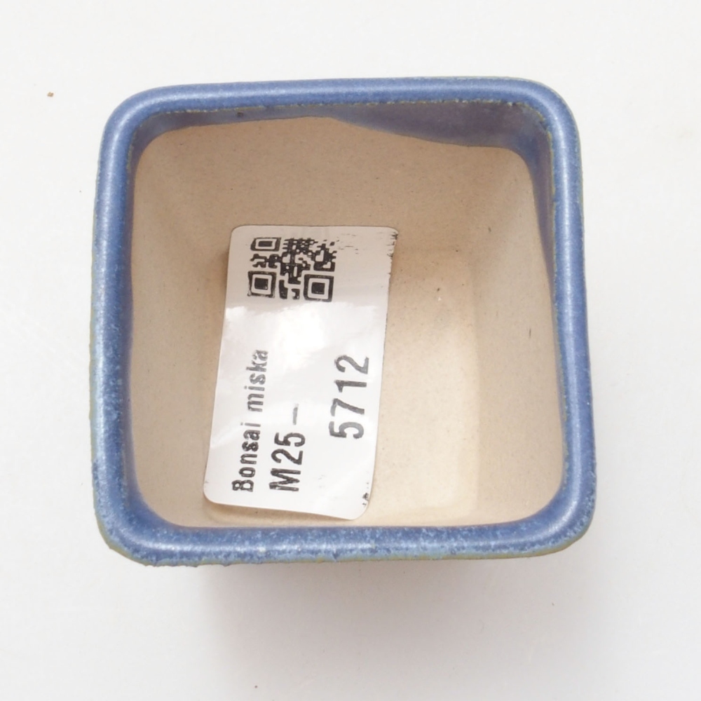 Mini bol bonsaï 4,5 x 4,5 x 4,5 cm, couleur bleu