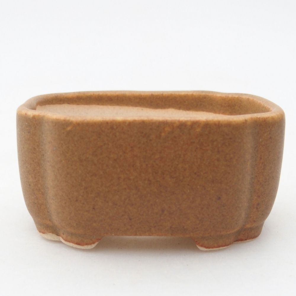 Mini bol bonsaï 6 x 5 x 3 cm, brun