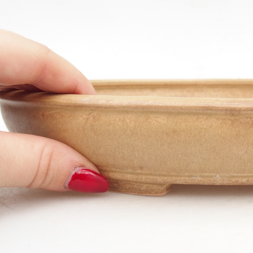 Bol à bonsaï en céramique 24,5 x 20 x 4 cm, couleur beige