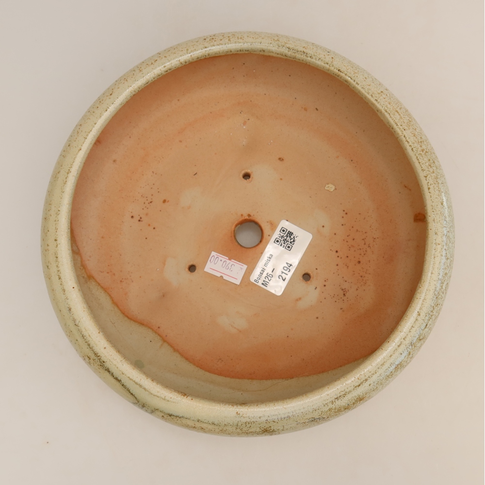 Pot à bonsaï en céramique 20,5 x 20,5 x 7 cm, couleur verte