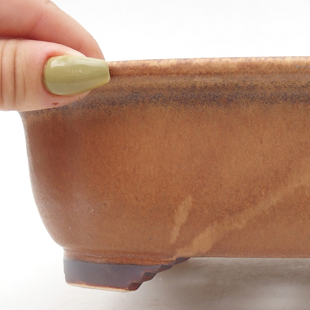 Bol à bonsaï en céramique 20 x 16,5 x 6,5 cm, rose