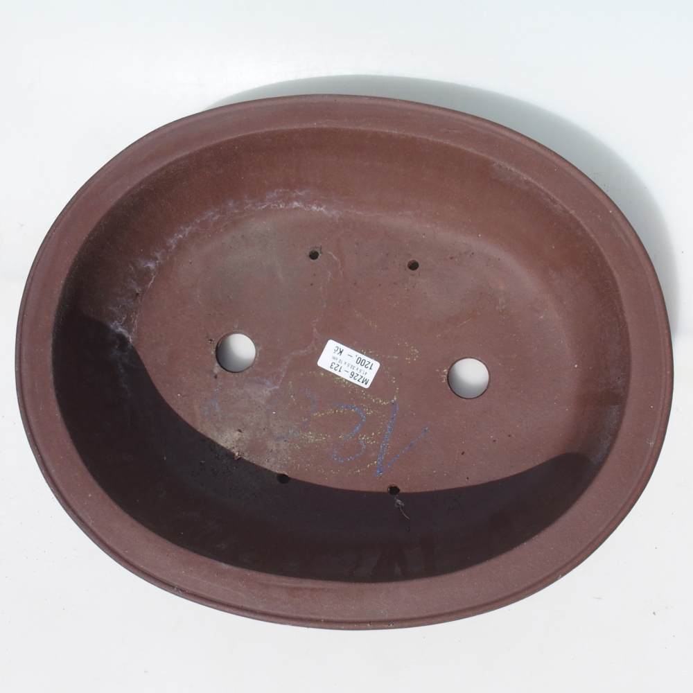 Bol pour bonsaï 41,5 x 33,5 x 10 cm bouleau brun