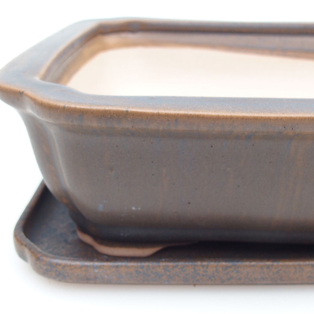 Bol Bonsaï + soucoupe H07 - 30 x 20,5 x 8 cm.