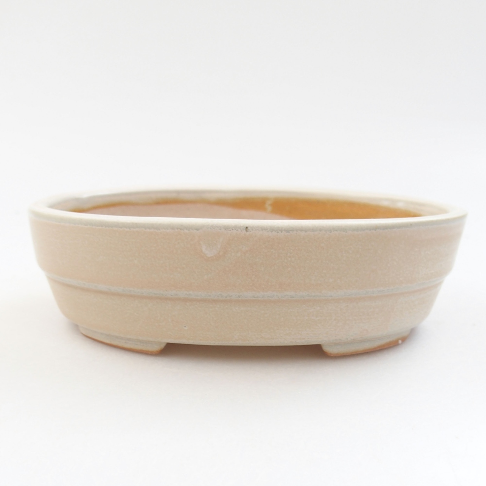 Bol à bonsaï en céramique 22 x 17 x 5 cm, vert