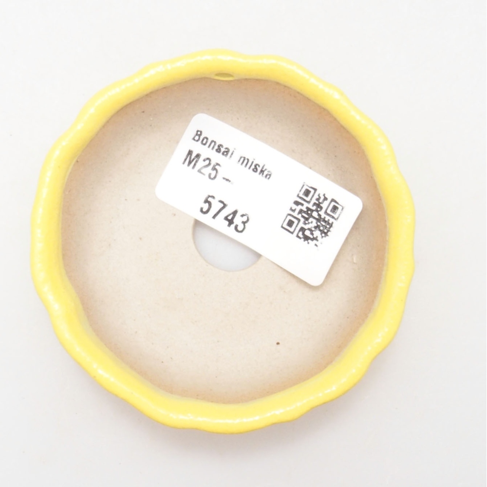 Bol à bonsaï en céramique 7 x 7 x 2 cm, jaune