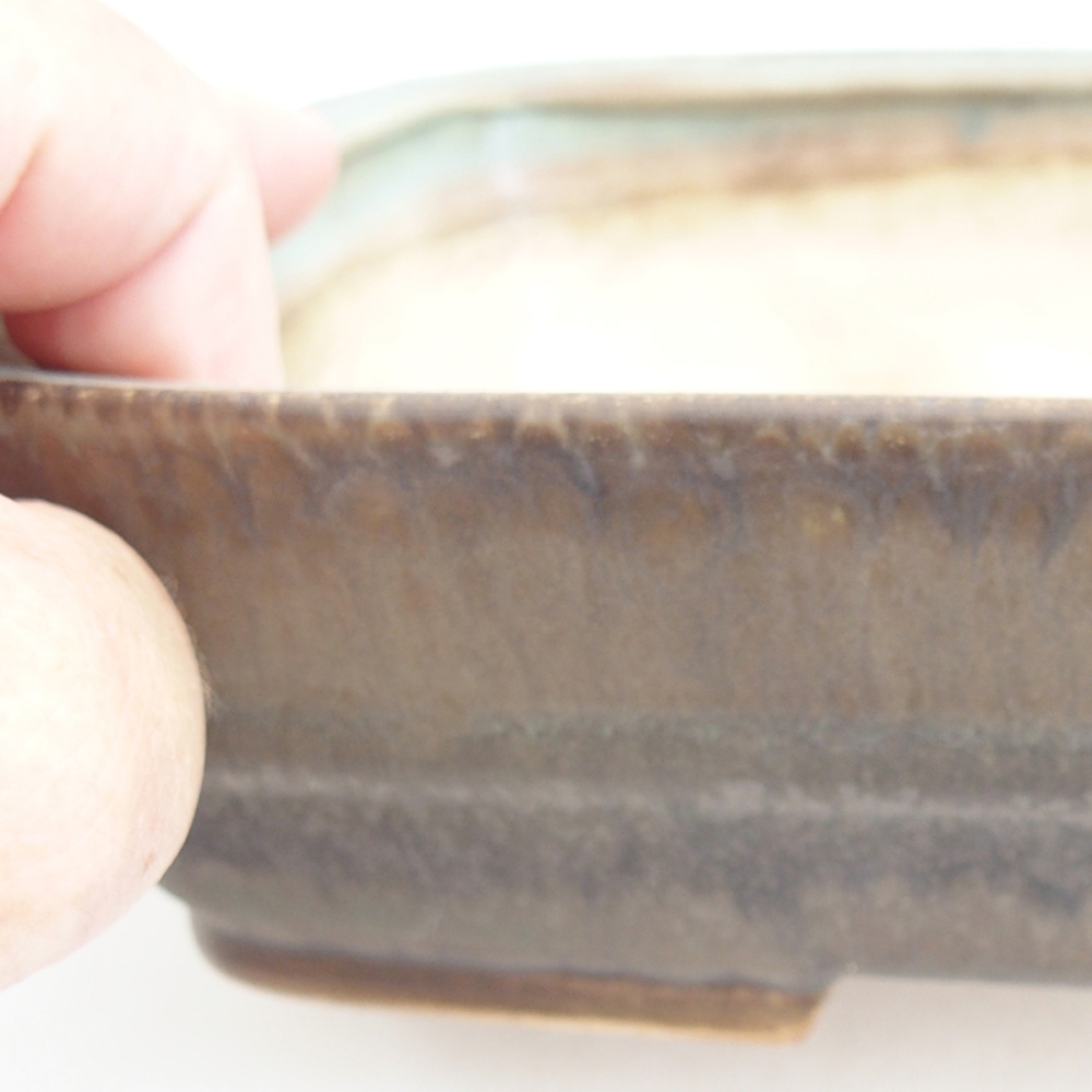 Bol à bonsaï en céramique 21,5 x 17,5 x 5,5 cm, vert