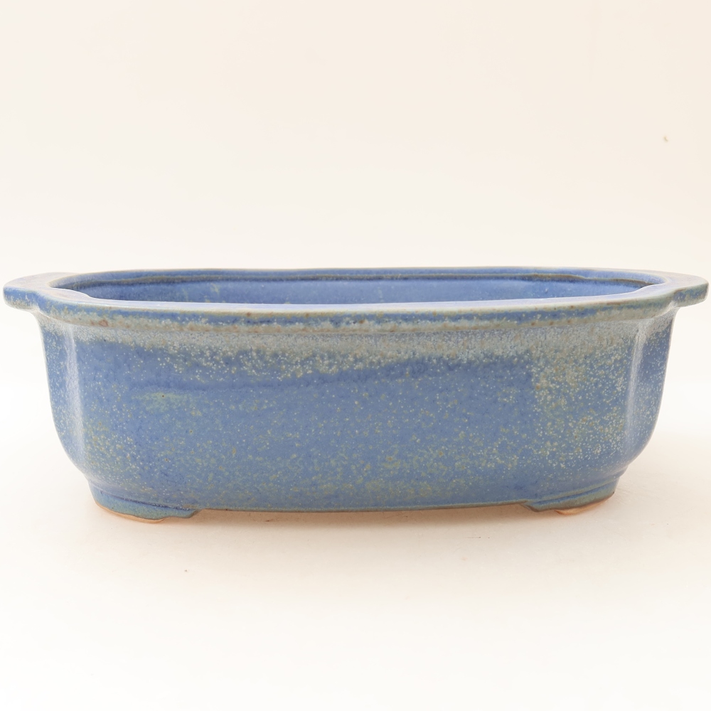 Pot à bonsaï en céramique 24,5 x 21 x 7,5 cm, couleur bleue