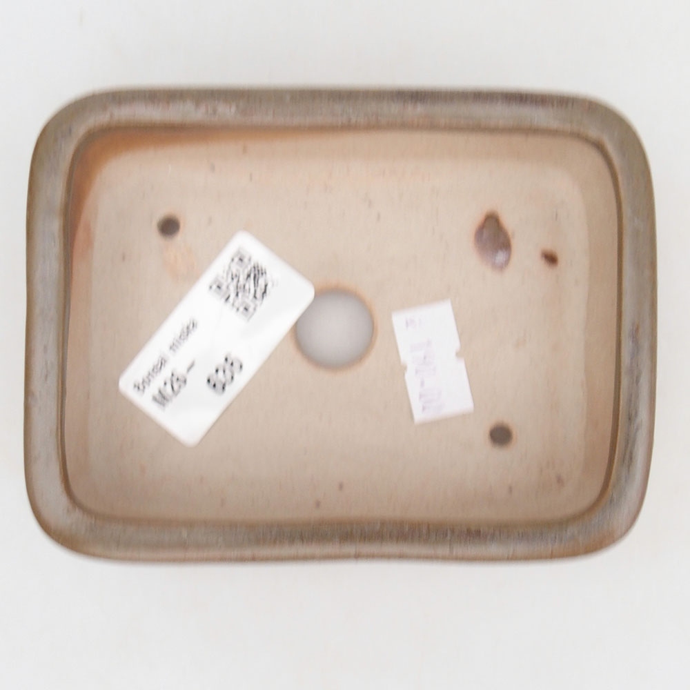 Bol à bonsaï en céramique 125 x 10 x 3 cm, brun