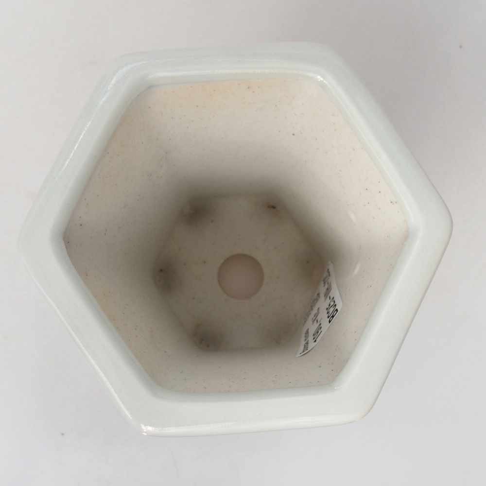 Bol à bonsaï en céramique 10 x 9 x 9 cm, couleur blanc