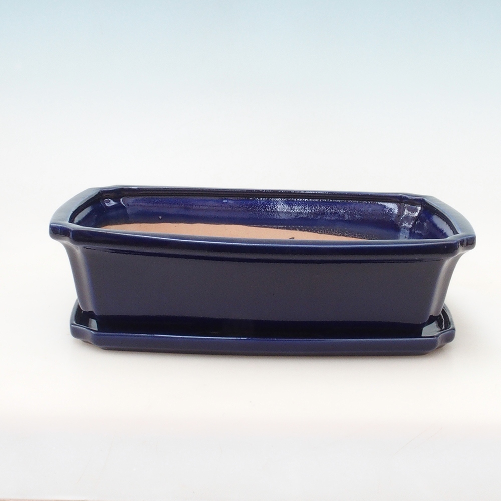 Bol Bonsaï + soucoupe H07 - 30 x 20,5 x 8 cm - bleu