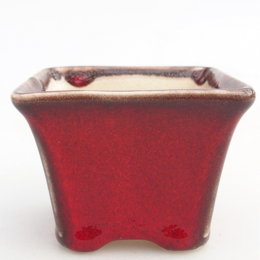 Mini bol bonsaï 6 x 6 x 5 cm, couleur rouge