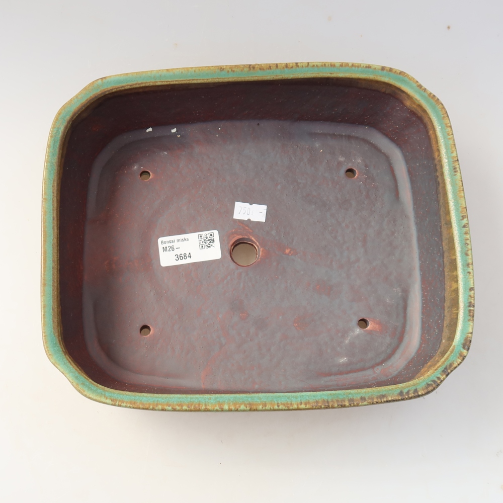 Pot à bonsaï en céramique 25 x 21 x 6,5 cm, couleur verte