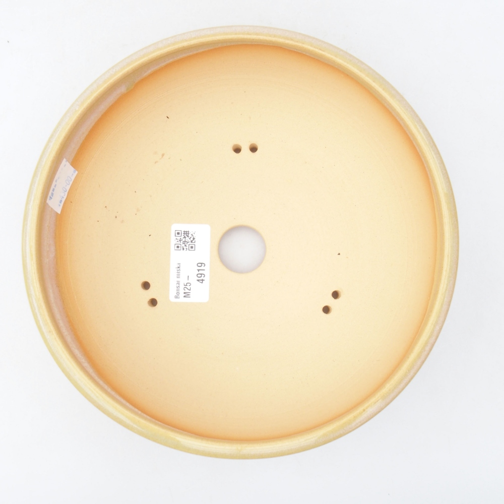 Bol à bonsaï en céramique 19,5 x 19,5 x 6 cm, couleur beige