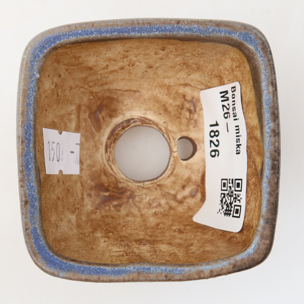 Pot à bonsaï en céramique 6 x 6 x 4 cm, couleur bleue