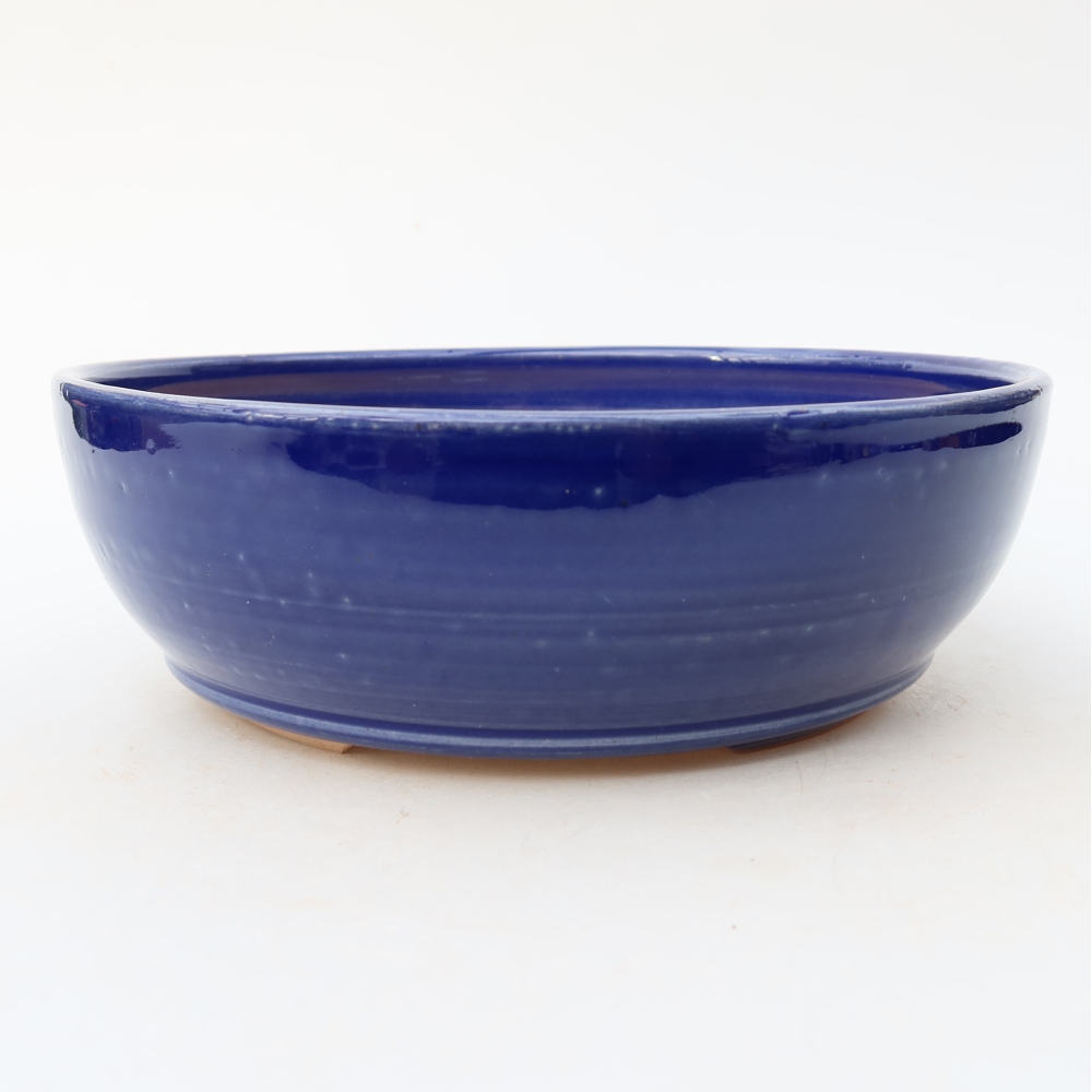 Bol à bonsaï en céramique 19 x 19 x 6 cm, couleur bleu
