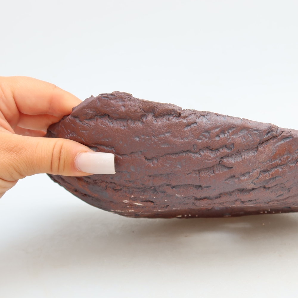 Coquille en céramique  31,5 x 19,5 x 7,5 cm, couleur marron
