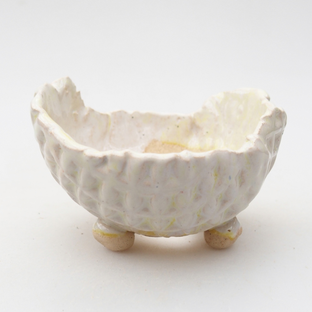 Coquille en céramique 8 x 8 x 5 cm , couleur verte