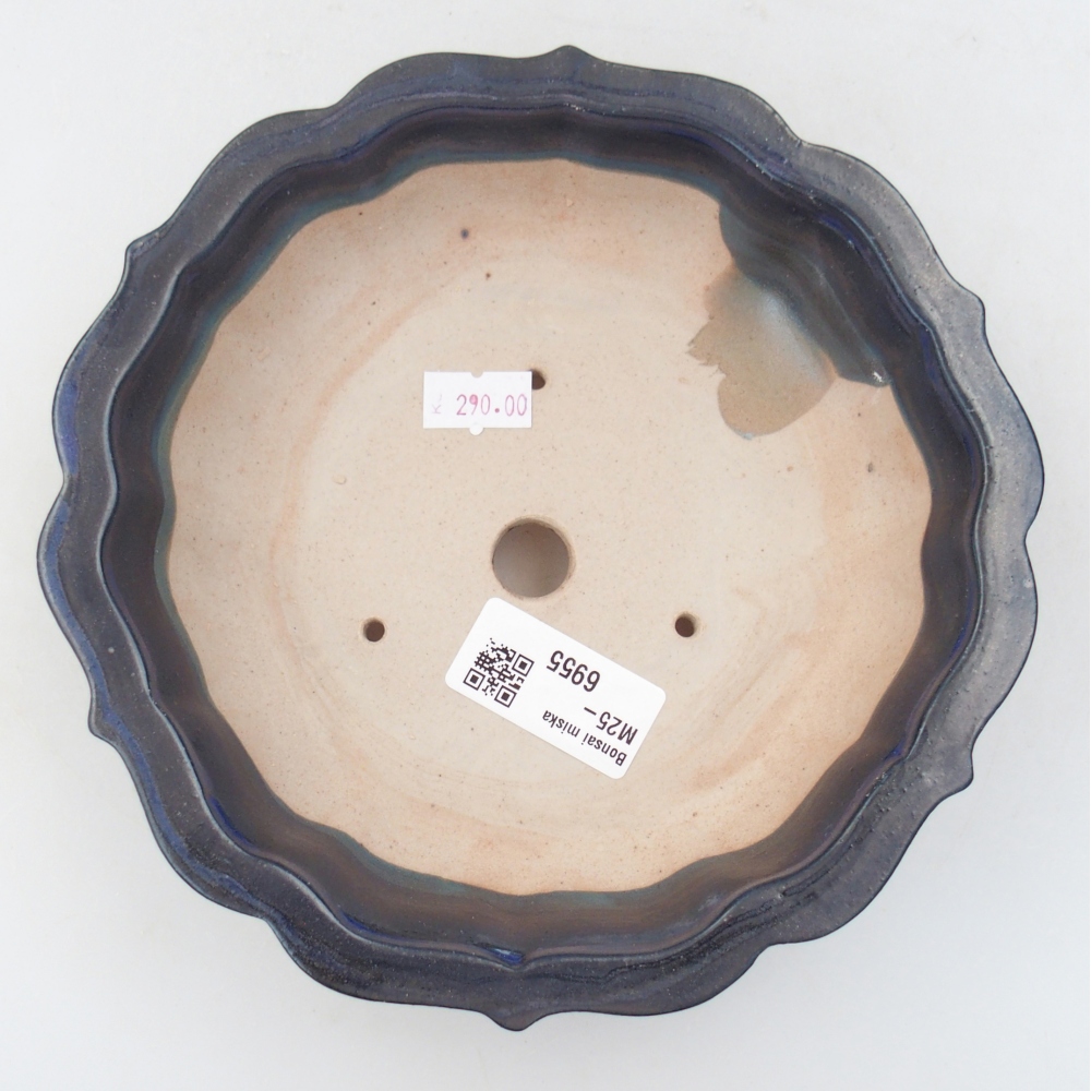 Bol à bonsaï en céramique 19 x 19 x 5 cm, couleur bleu