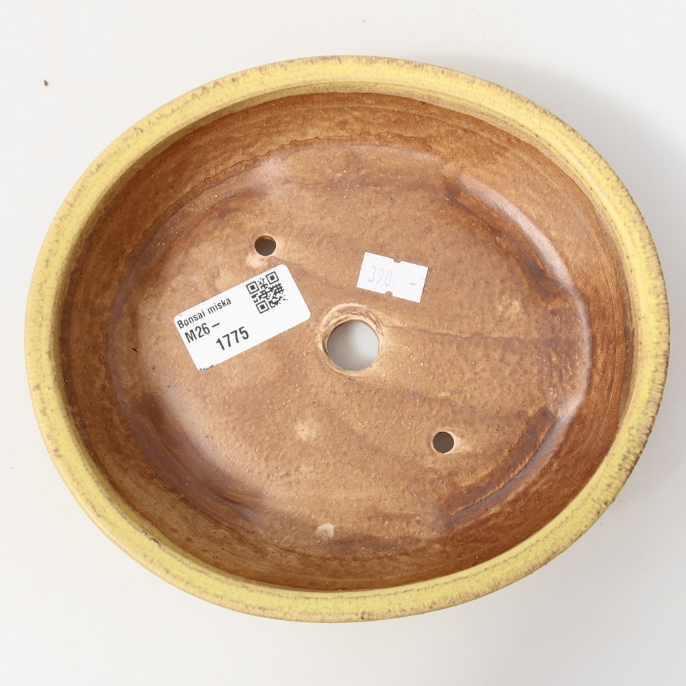 Pot à bonsaï en céramique 18,5 x 16,5 x 4,5 cm, couleur jaune