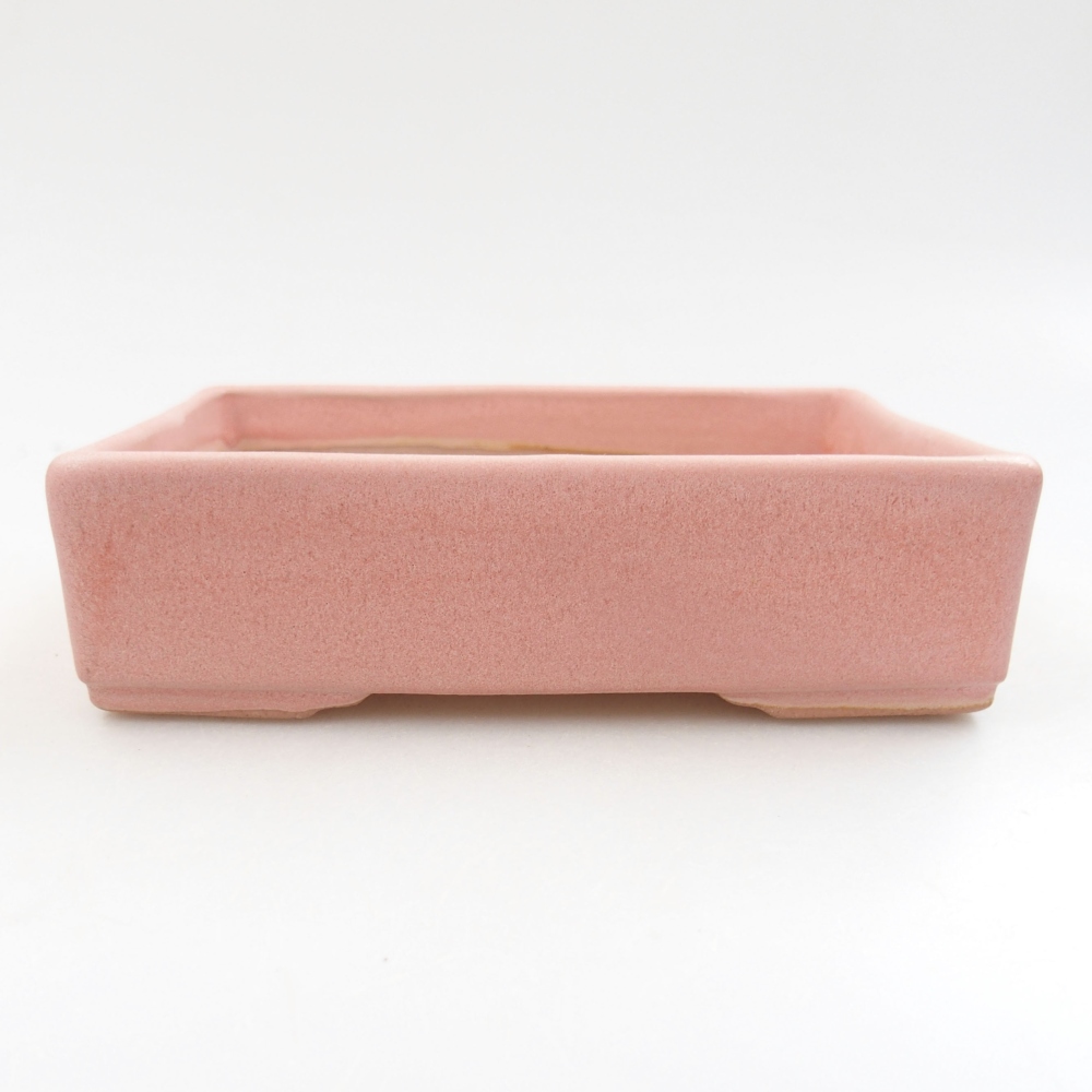 Bol à bonsaï en céramique 22 x 17 x 5 cm, vert