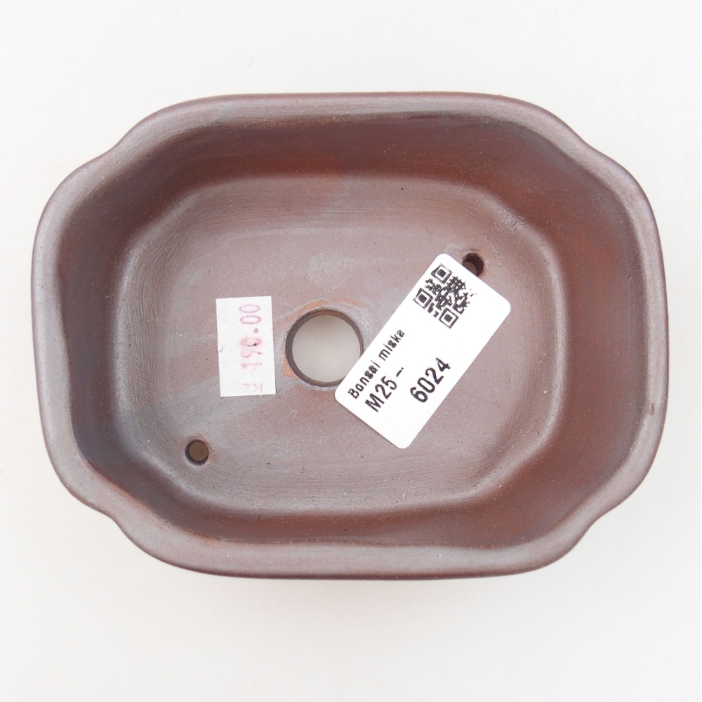 Bol à bonsaï en céramique 22 x 17 x 5 cm, vert