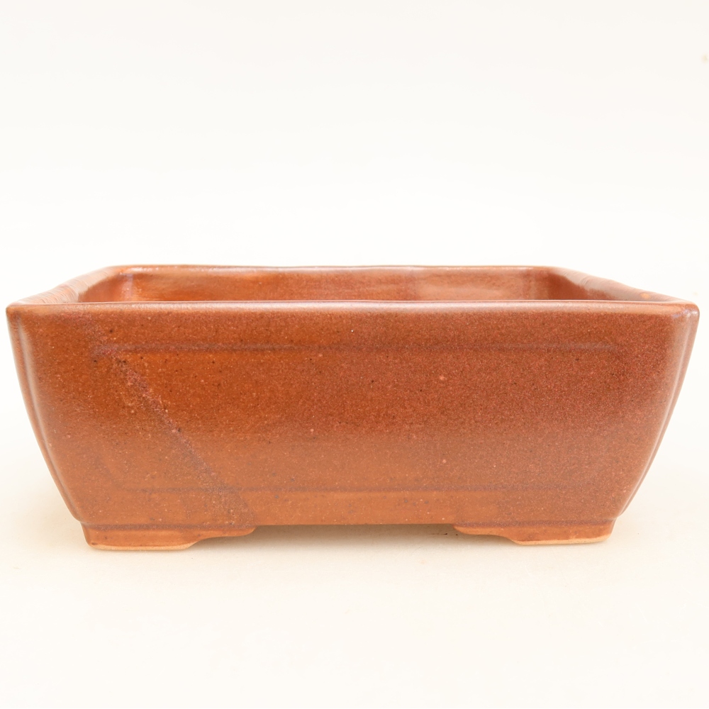 Bol à bonsaï en céramique 16 x 12 x 6 cm, bordeaux