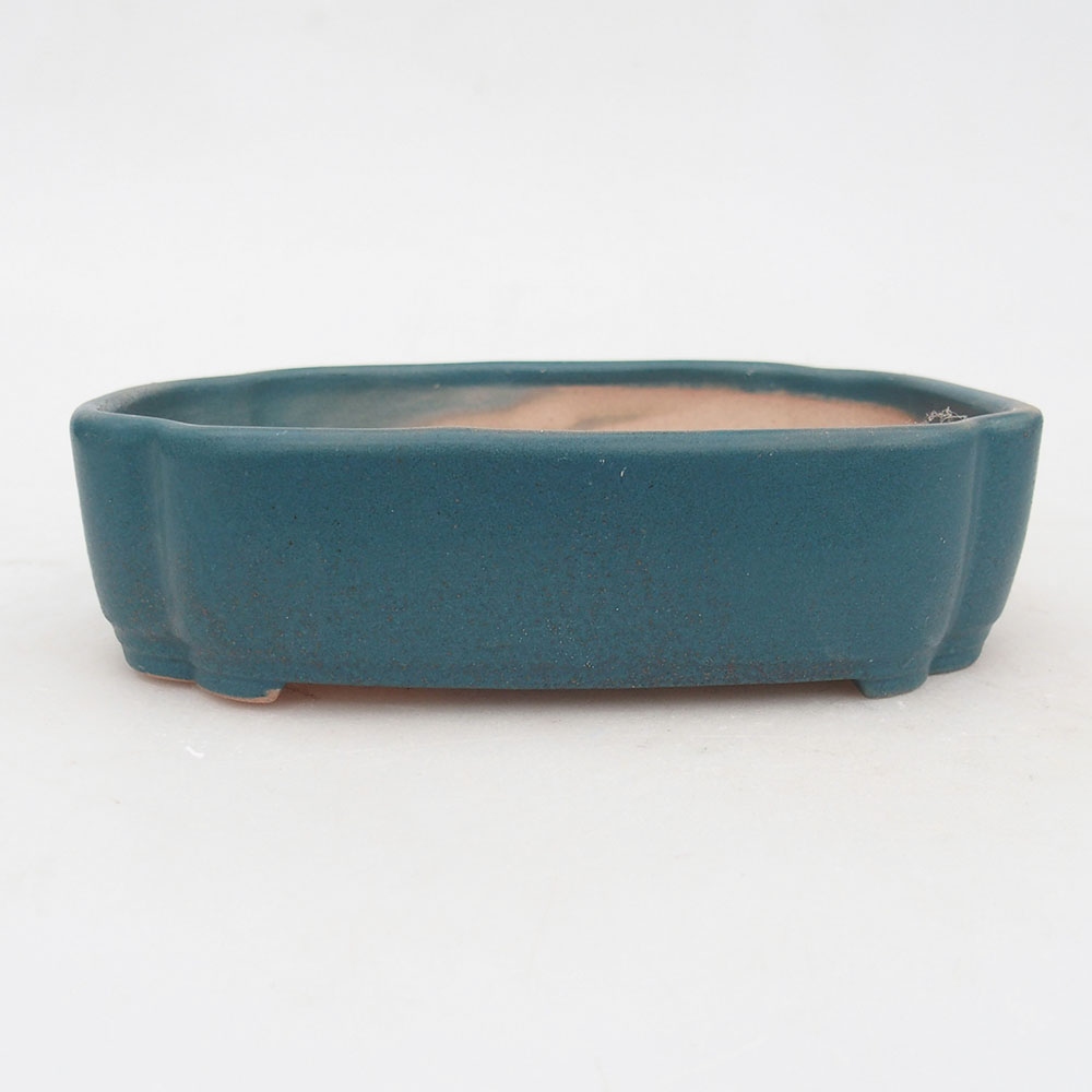Bol à bonsaï en céramique 16 x 11,5 x 4,5 cm, couleur bleu