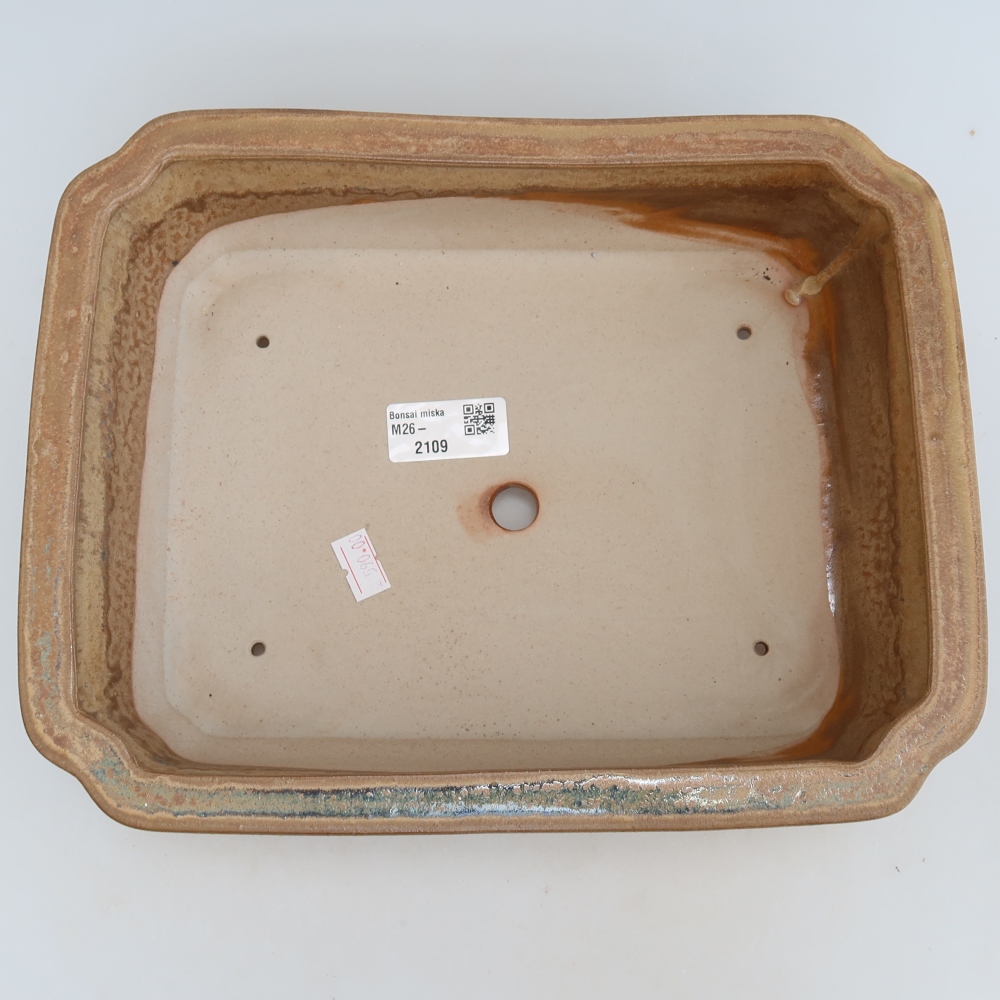 Bol à bonsaï en céramique 27,5 x 21,5 x 7 cm, couleur beige