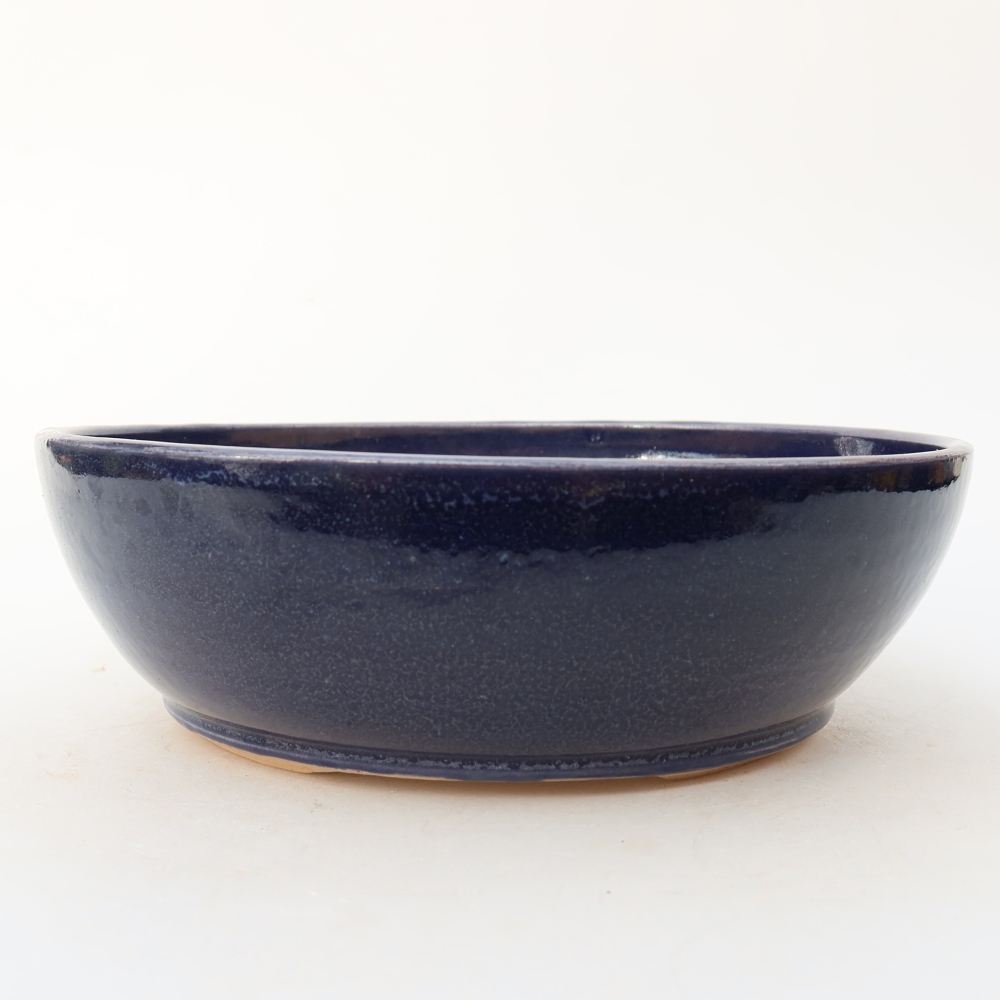 Bol à bonsaï en céramique 19 x 19 x 6 cm, couleur bleu