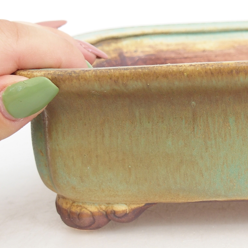 Bol à bonsaï en céramique 20 x 17 x 6 cm, vert