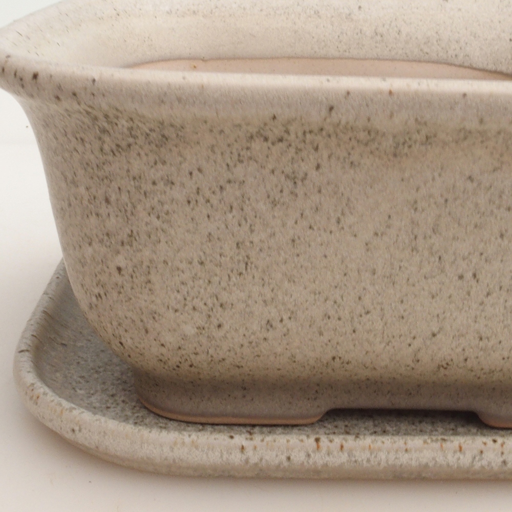 Bol bonsaï + soucoupe H36 - 17 x 15 x 7,5 cm - beige