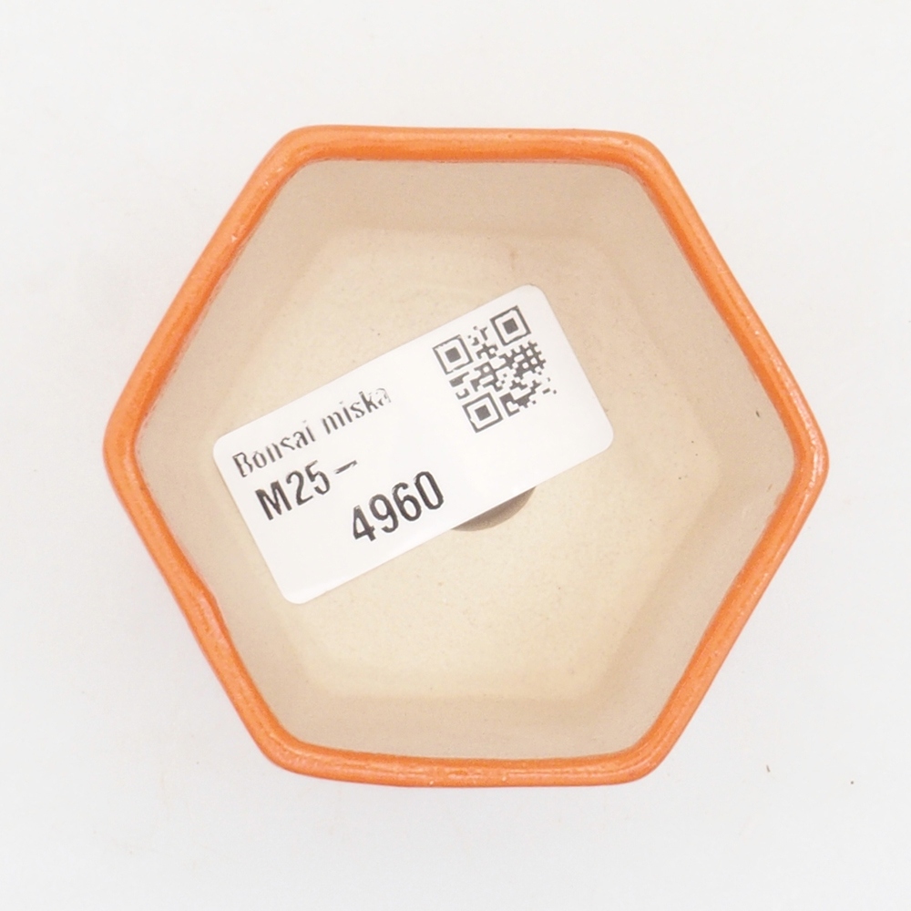 Mini bol bonsaï 6,5 x 6 x 4,5 cm, orange
