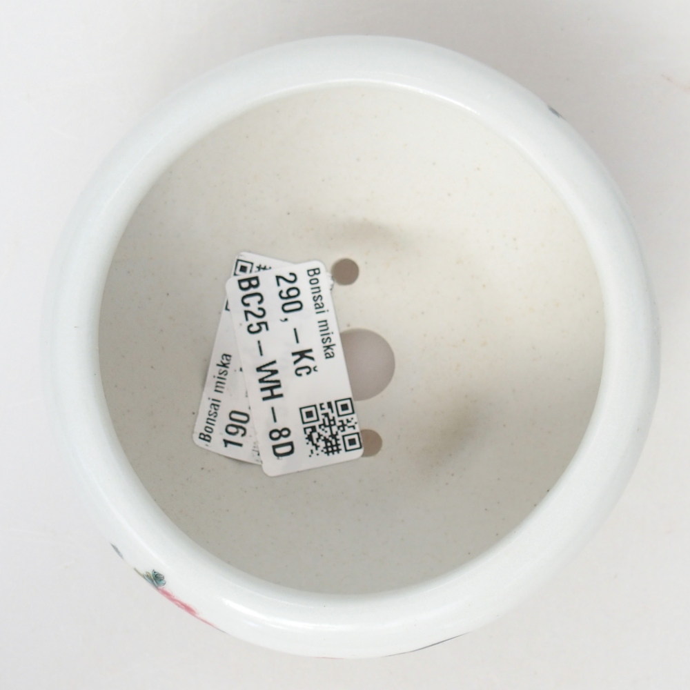 Bol à bonsaï en céramique 10 x 10 x 5 cm, couleur blanc