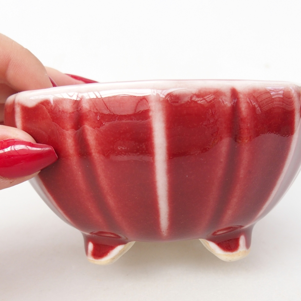 Bol à bonsaï en céramique 11 x 11 x 5,5 cm, couleur rouge