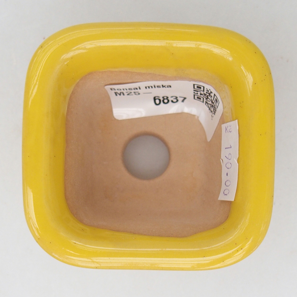 Bol à bonsaï en céramique 6,5 x 6,5 x 5 cm, jaune