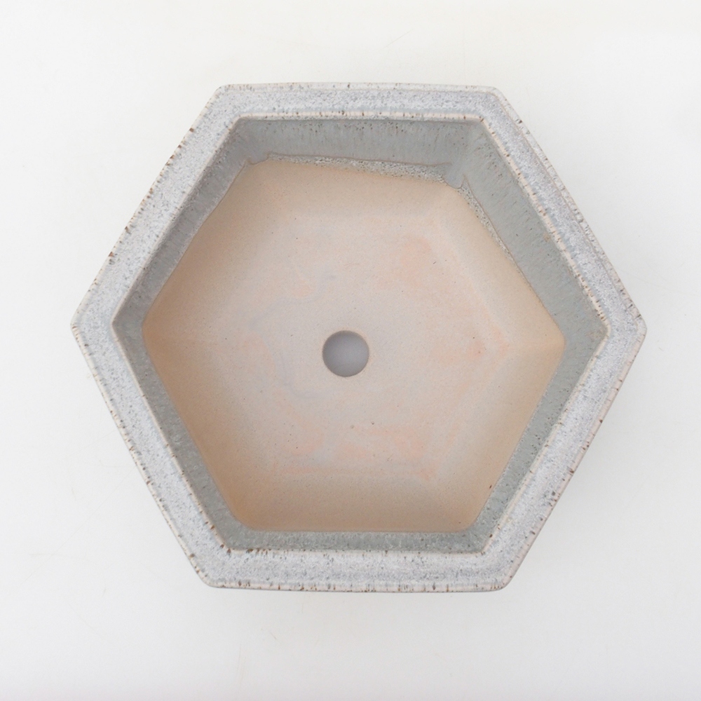 Coupe bonsaï H53 - 19 x 21,5 x 7 cm - beige