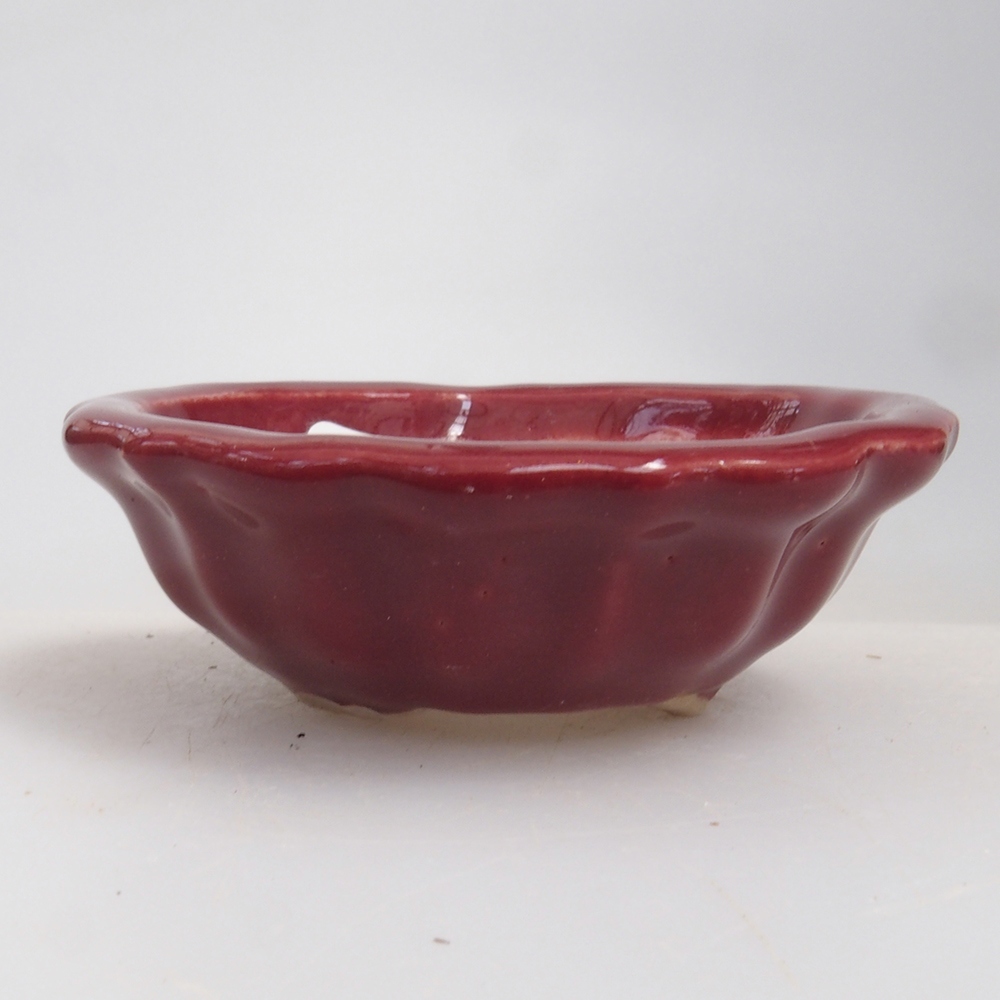 Mini bol bonsaï 5 x 5 x 1,5 cm, couleur bordeaux